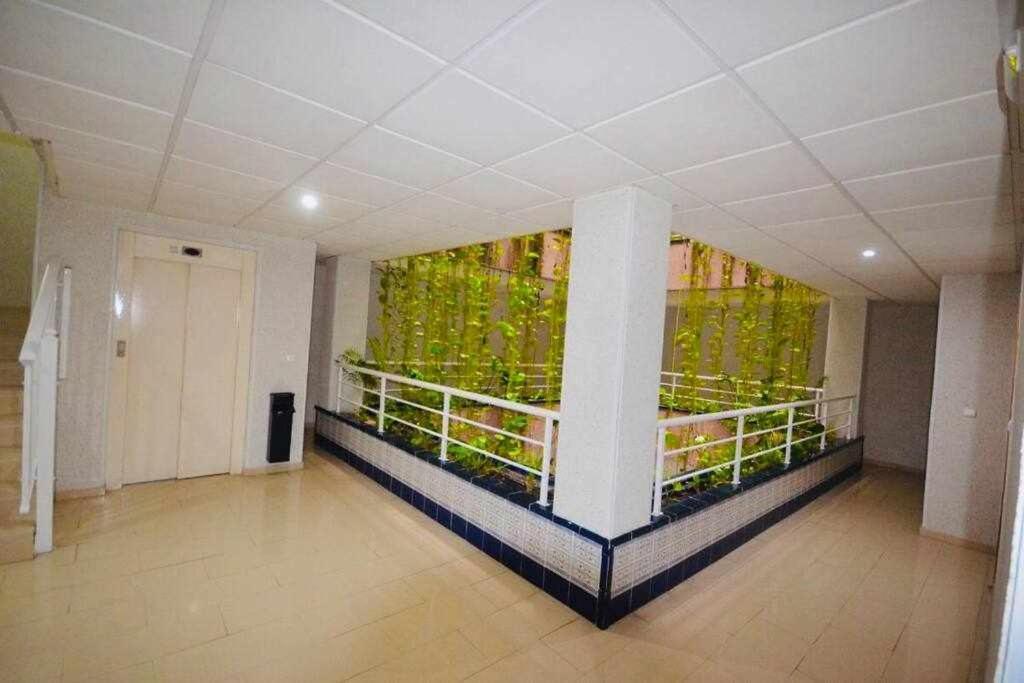 Apartamento Pink Sweet Home Torrevieja Bagian luar foto